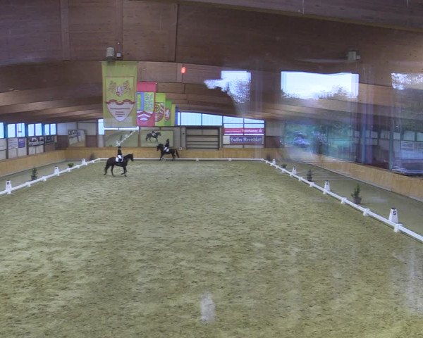 Reitturnier Steinhagen 2022