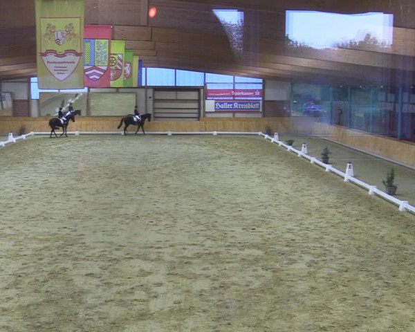 Reitturnier Steinhagen 2022