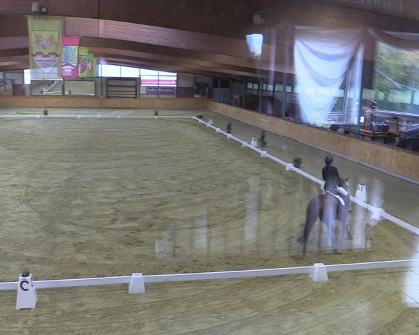 Reitturnier Steinhagen 2022