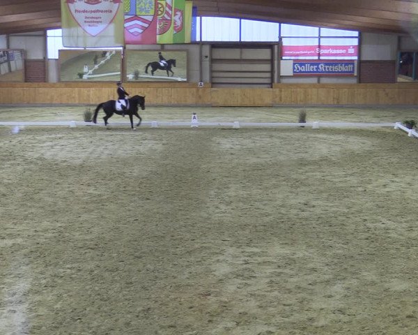 Reitturnier Steinhagen 2022