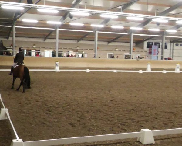 Reitturnier Waghäusel-Wiesental 2022
