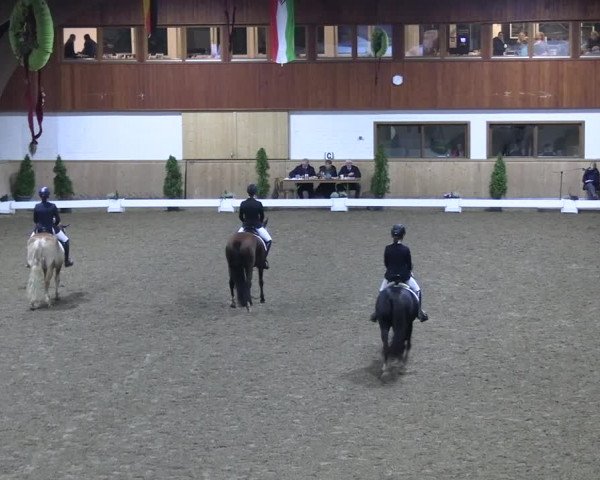 Reitturnier Hövelhof 2022