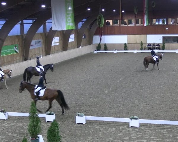 Reitturnier Hövelhof 2022