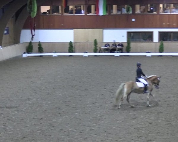 Reitturnier Hövelhof 2022
