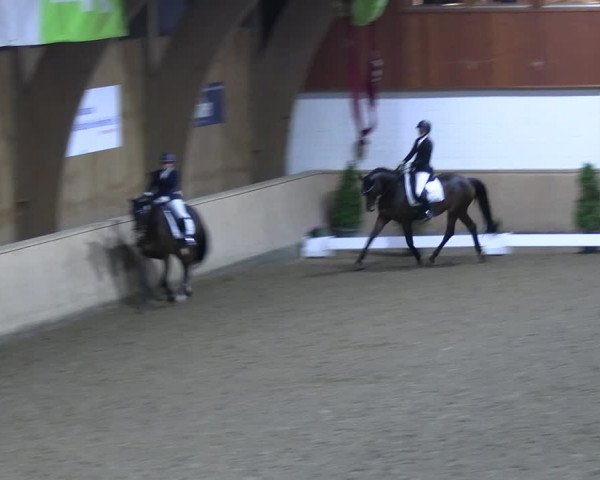 Reitturnier Hövelhof 2022