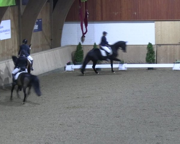 Reitturnier Hövelhof 2022