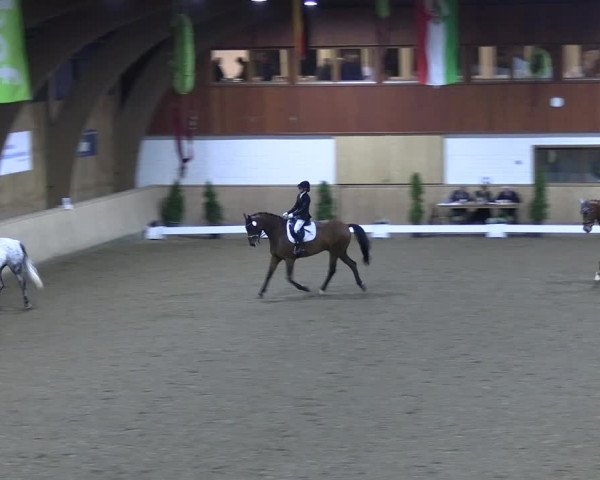 Reitturnier Hövelhof 2022