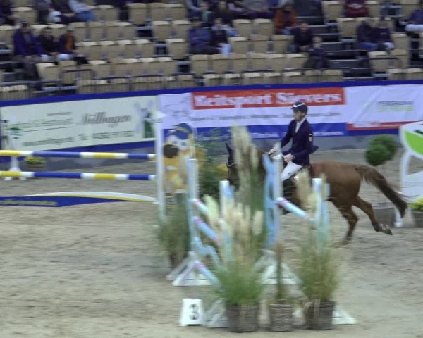 FEI Reitturnier Neumünster 2022