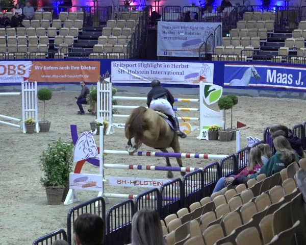 FEI Reitturnier Neumünster 2022