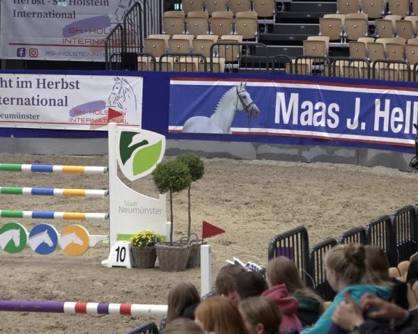 FEI Reitturnier Neumünster 2022