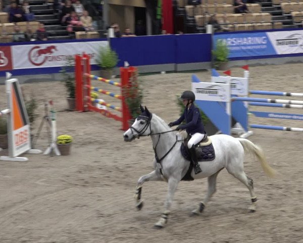 FEI Reitturnier Neumünster 2022