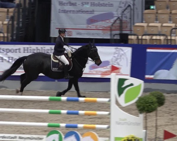 FEI Reitturnier Neumünster 2022