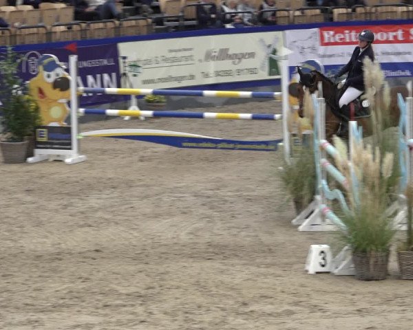 FEI Reitturnier Neumünster 2022