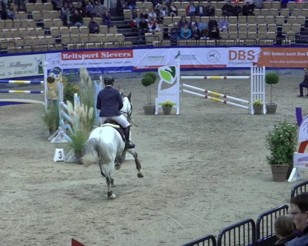FEI Reitturnier Neumünster 2022
