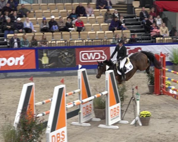 FEI Reitturnier Neumünster 2022