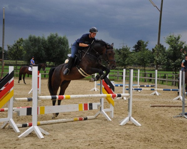 broodmare French Open (Hanoverian, 2007, from Fidertanz)