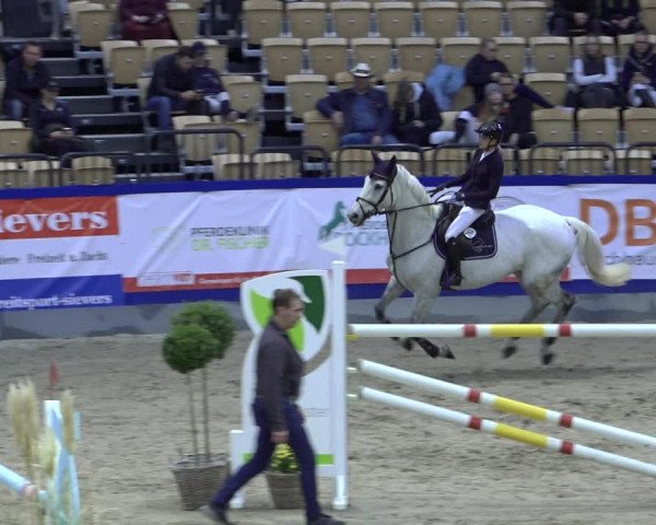 FEI Reitturnier Neumünster 2022