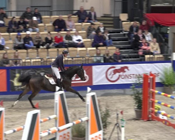 FEI Reitturnier Neumünster 2022