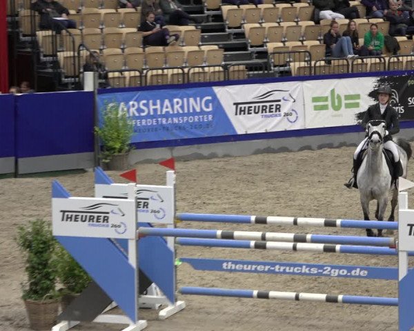 FEI Reitturnier Neumünster 2022