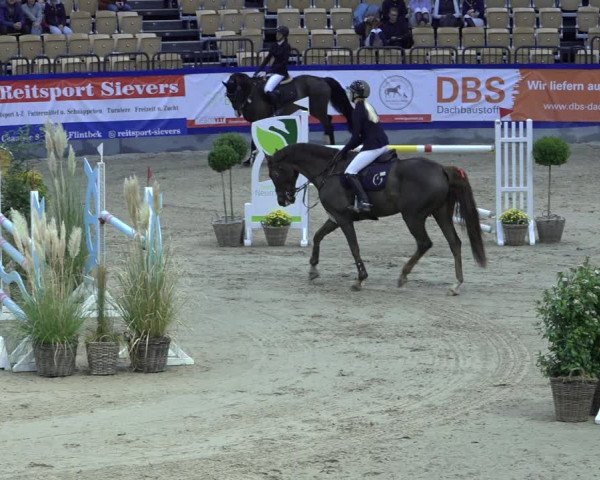 FEI Reitturnier Neumünster 2022