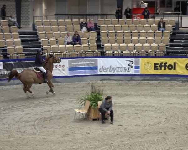 FEI Reitturnier Neumünster 2022
