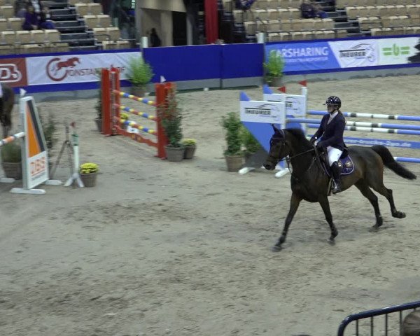 FEI Reitturnier Neumünster 2022