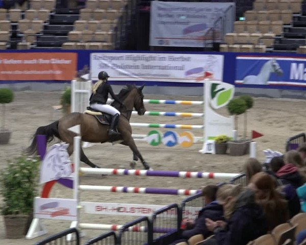 FEI Reitturnier Neumünster 2022