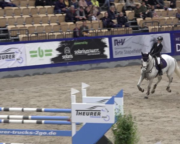 FEI Reitturnier Neumünster 2022