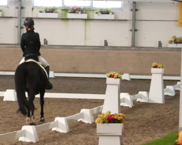 Reitturnier Waghäusel-Wiesental 2022