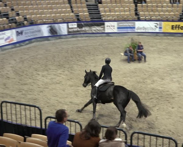 FEI Reitturnier Neumünster 2022