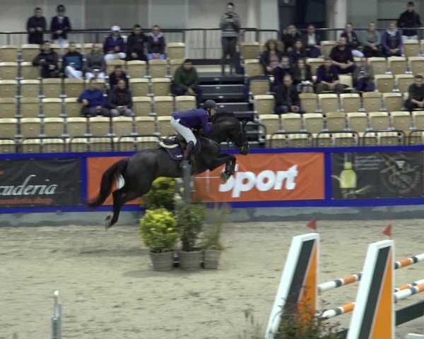 FEI Reitturnier Neumünster 2022