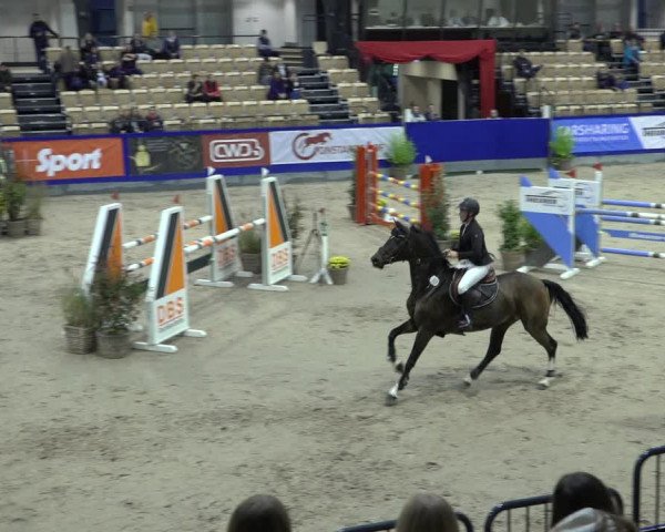 FEI Reitturnier Neumünster 2022
