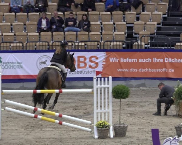 FEI Reitturnier Neumünster 2022