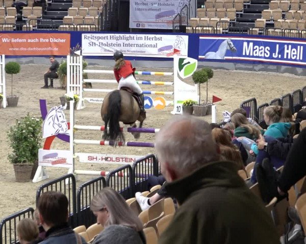 FEI Reitturnier Neumünster 2022