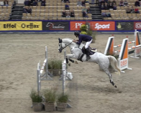 FEI Reitturnier Neumünster 2022
