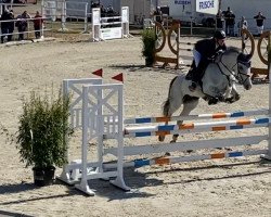 broodmare Bigi-G (Oldenburg, 2011, from Cornet's Stern)