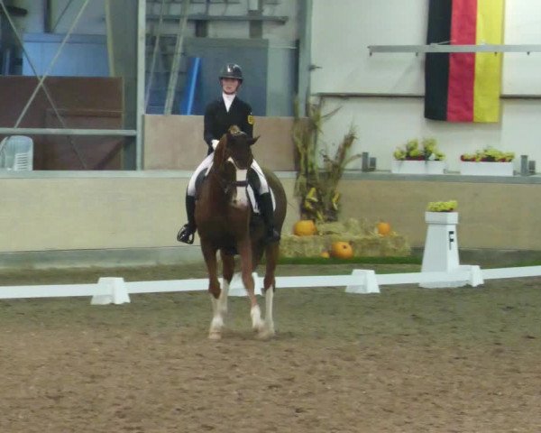Reitturnier Waghäusel-Wiesental 2022