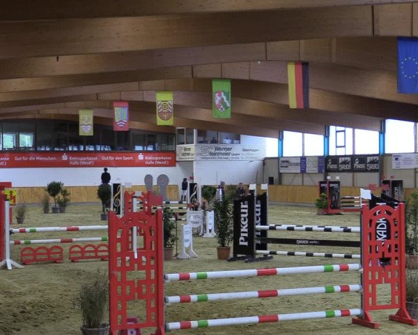Reitturnier Steinhagen 2022