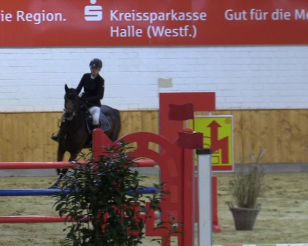 Reitturnier Steinhagen 2022