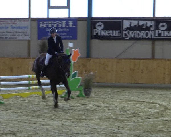 Reitturnier Steinhagen 2022