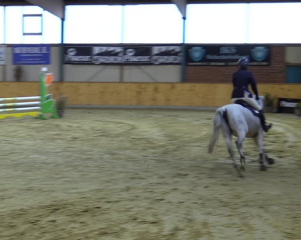 Reitturnier Steinhagen 2022