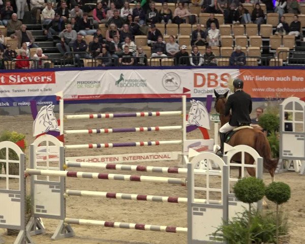 FEI Reitturnier Neumünster 2022