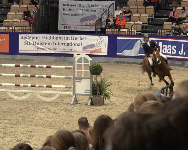 FEI Reitturnier Neumünster 2022
