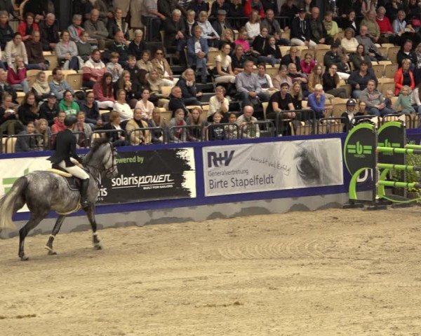 FEI Reitturnier Neumünster 2022