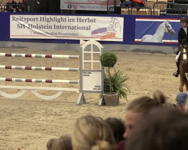 FEI Reitturnier Neumünster 2022
