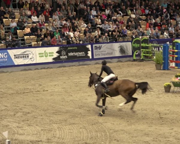 FEI Reitturnier Neumünster 2022