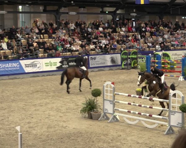 FEI Reitturnier Neumünster 2022
