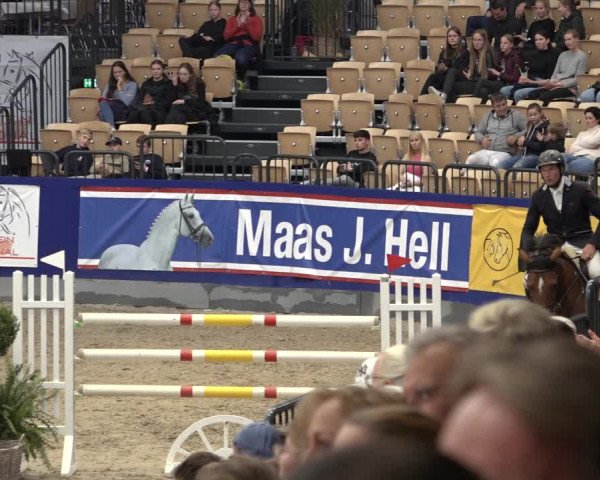 FEI Reitturnier Neumünster 2022