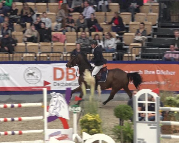 FEI Reitturnier Neumünster 2022
