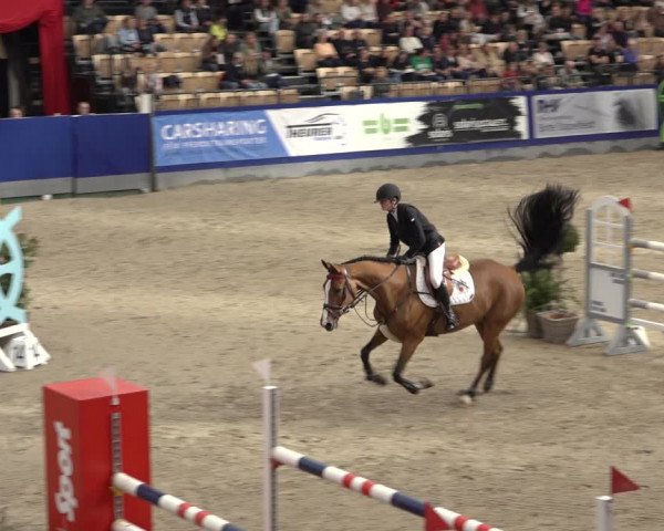 FEI Reitturnier Neumünster 2022